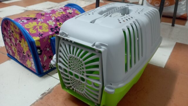 Google Photo 3