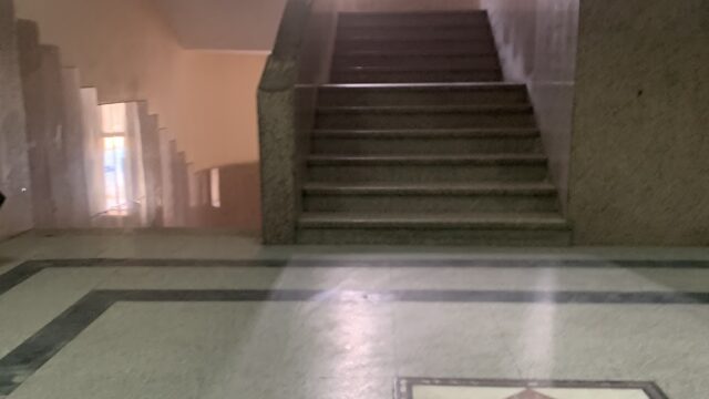 Google Photo 3