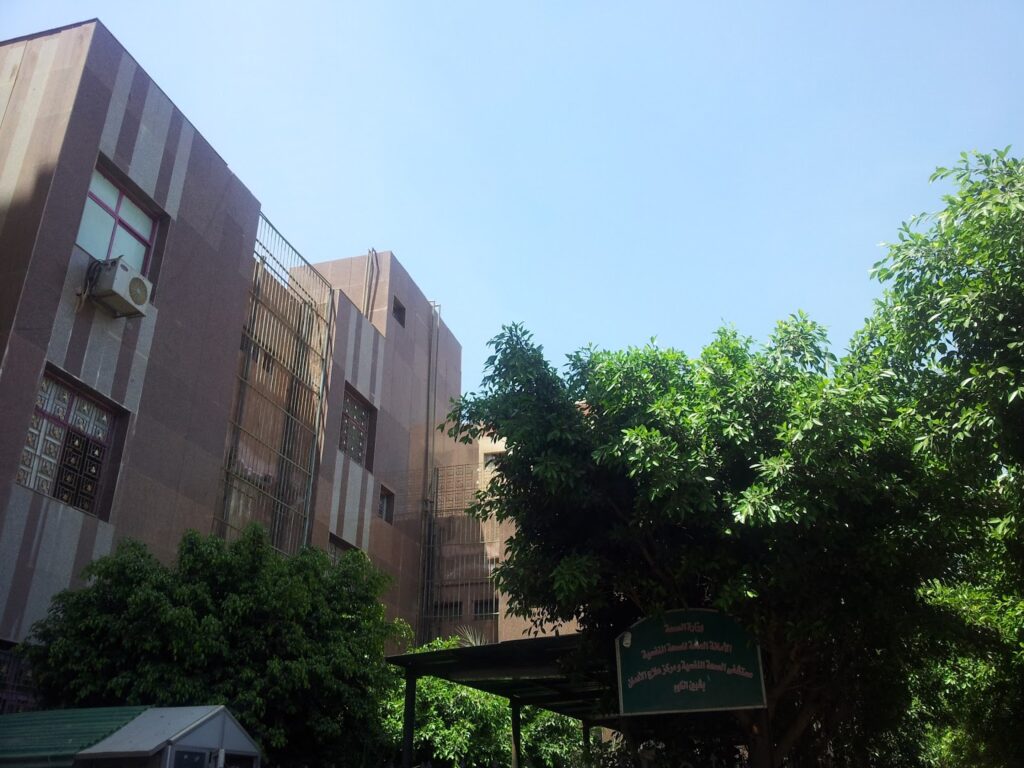 Mental health hospital and the treatment of addiction Shebeen