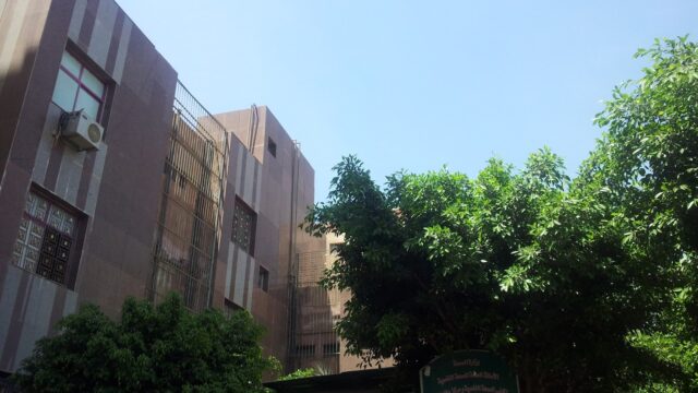Google Photo 1