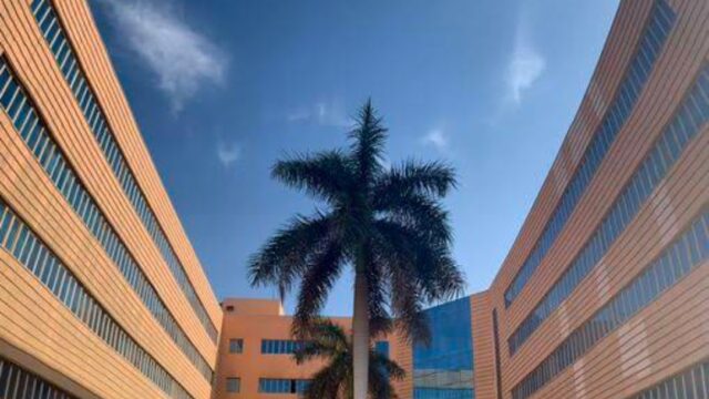 Google Photo 3