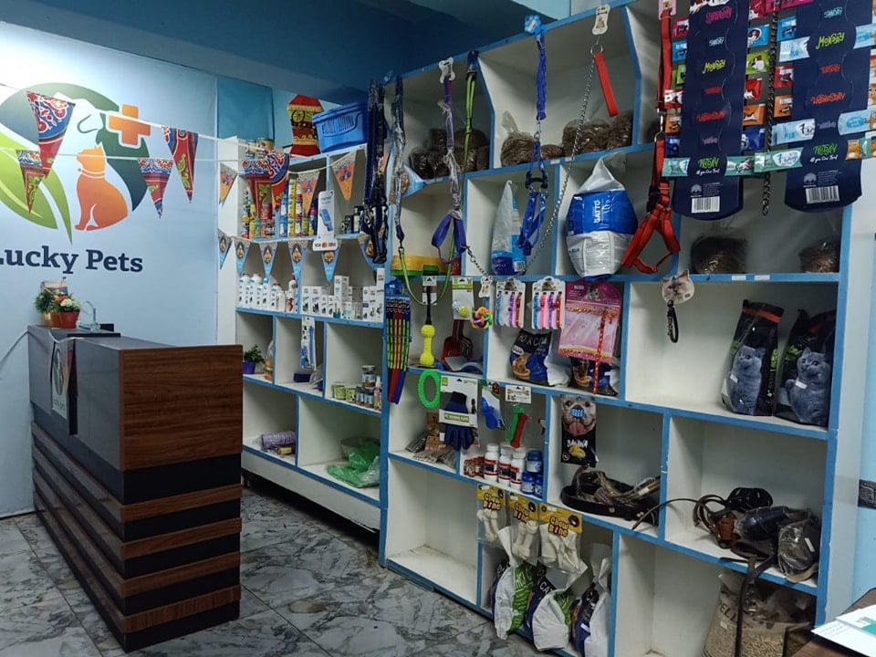 Lucky Pets, the comprehensive veterinary clinic in Shubra.