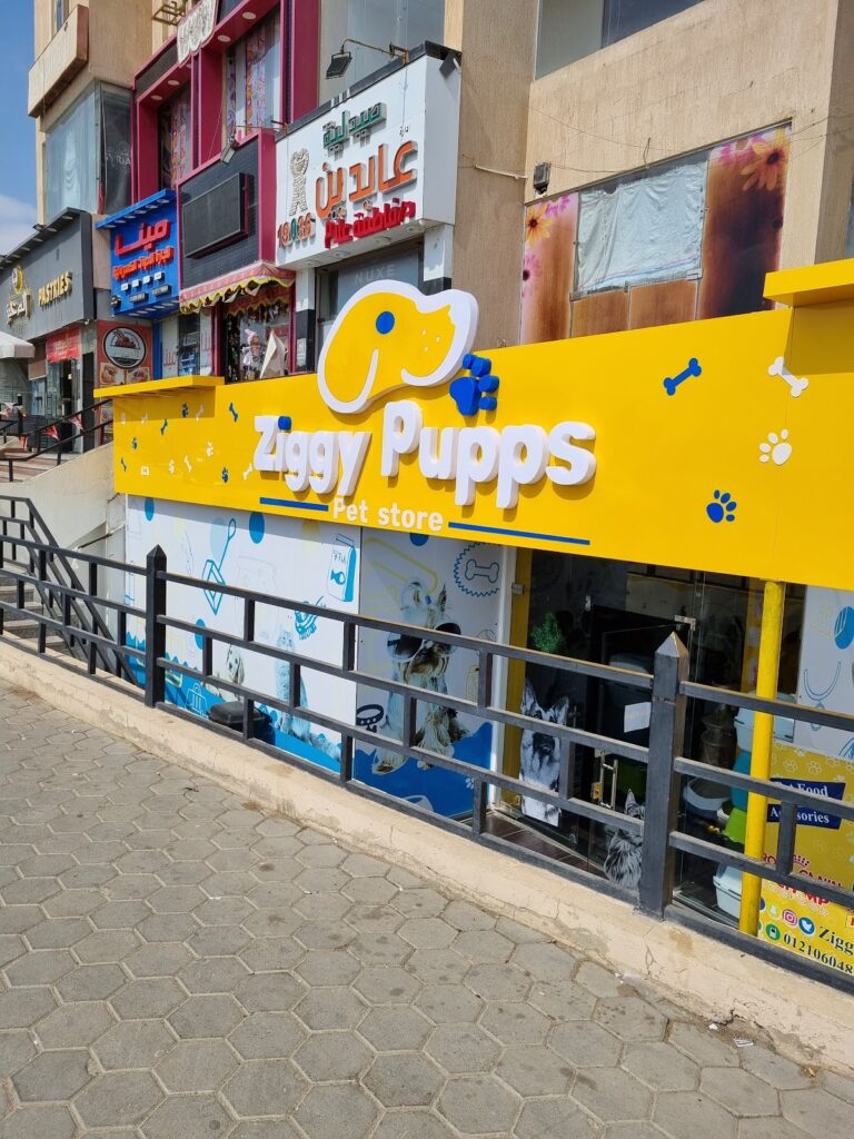 Ziggy Pupps Beverly Hills