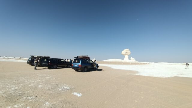 Google Photo 5