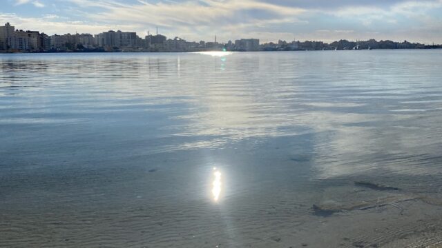 Google Photo 2