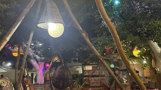 Google Photo 4