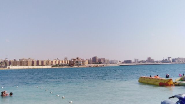 Google Photo 4