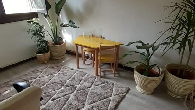 Google Photo 5
