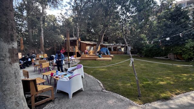 Google Photo 5