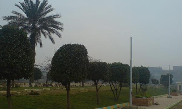 Google Photo 4