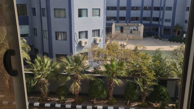 Google Photo 5