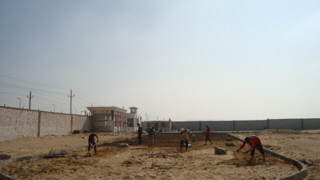 Google Photo 3