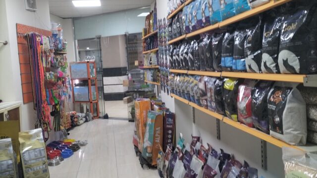 Google Photo 1