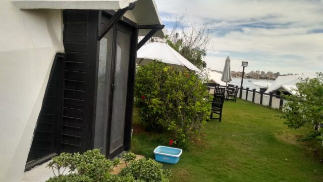 Google Photo 5