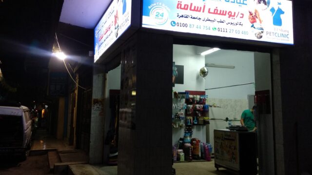 Google Photo 2