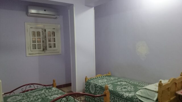 Google Photo 2