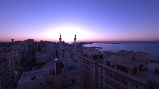 Google Photo 5