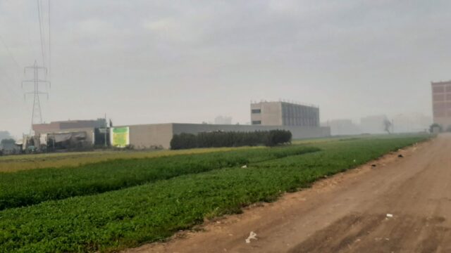 Google Photo 3
