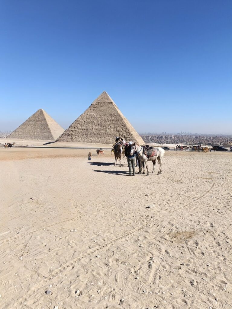 جيزة هوست