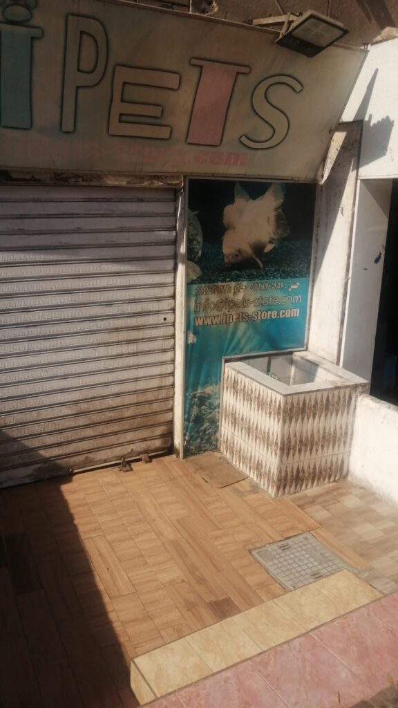 iPets Store