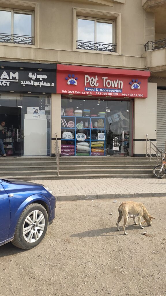Pet Town