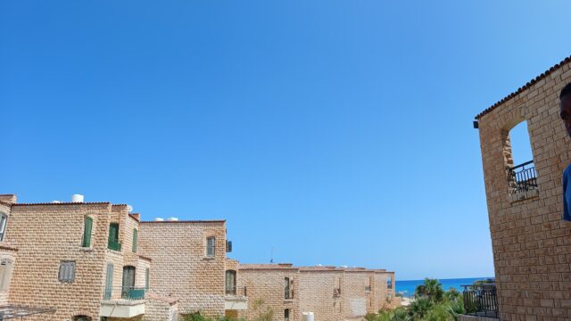 Google Photo 4