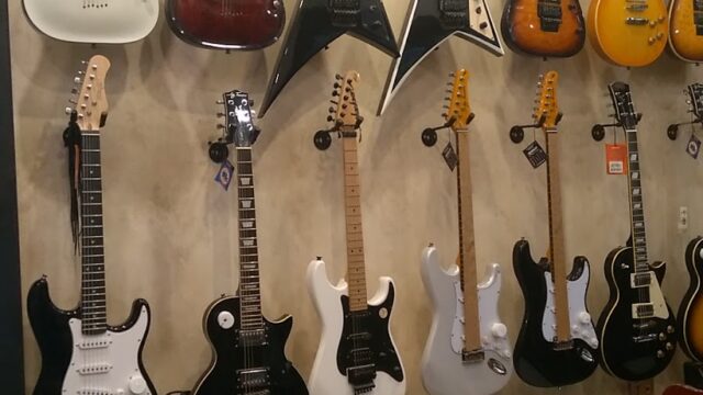 Google Photo 5