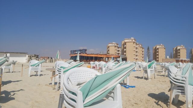 Google Photo 4