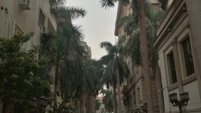 Google Photo 5