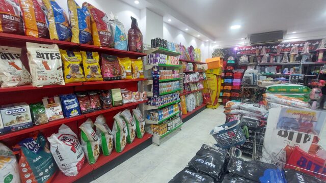 Google Photo 3