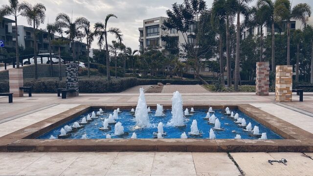 Google Photo 2