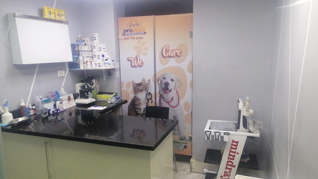 Just For Pets
