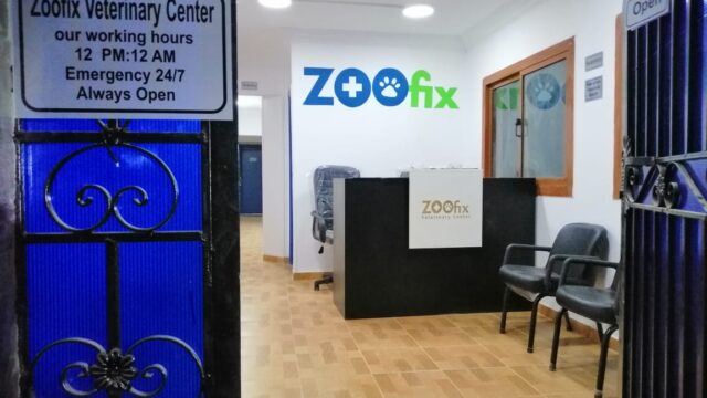 Google Photo 1