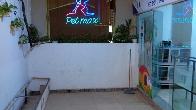 Google Photo 1