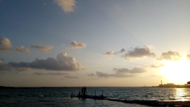 Google Photo 2