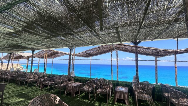 Google Photo 5