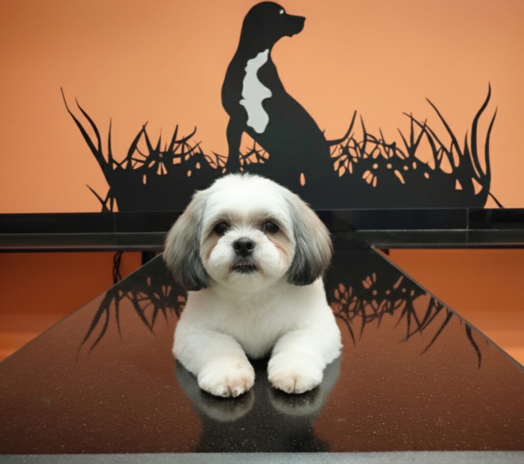 Pet’s Story Salon
