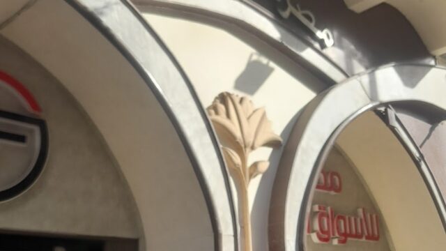 Google Photo 5