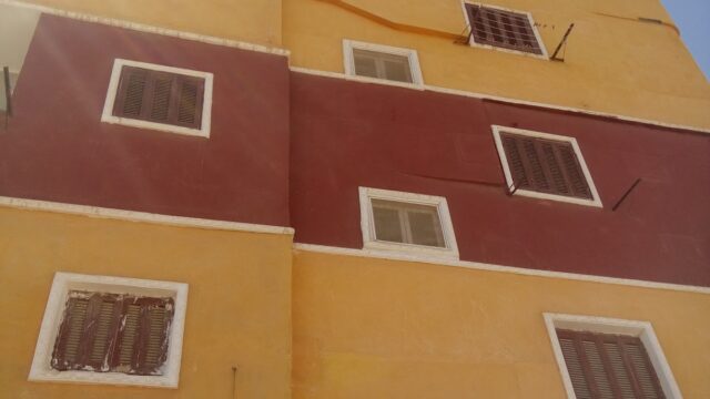 Google Photo 5