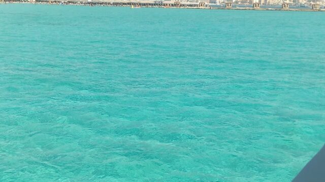 Google Photo 2