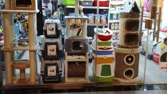 Google Photo 1
