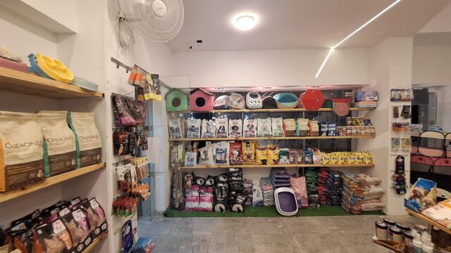 Google Photo 3