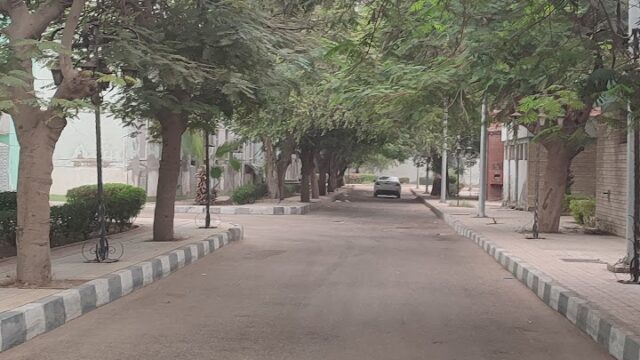 Google Photo 3