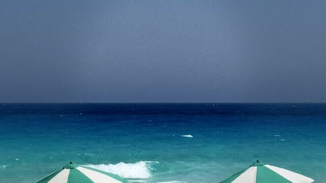 Google Photo 3