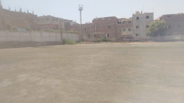 Google Photo 4
