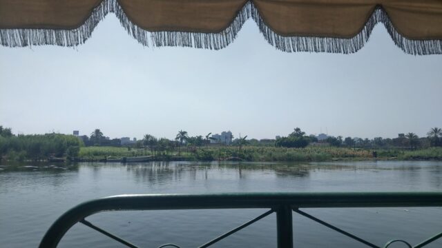 Google Photo 4