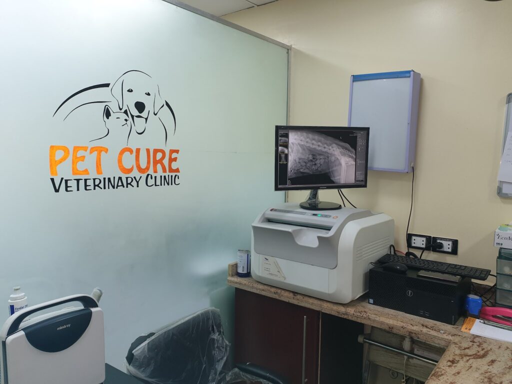 Pet Cure Veterinary Hospital – Sheikh Zayed