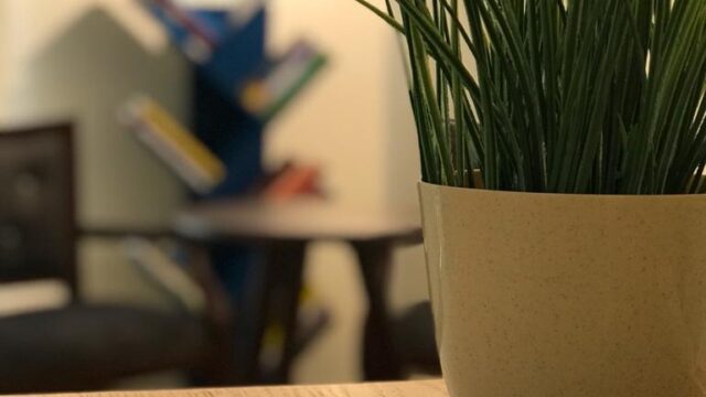Google Photo 5