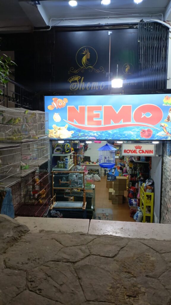 Nemo Pets