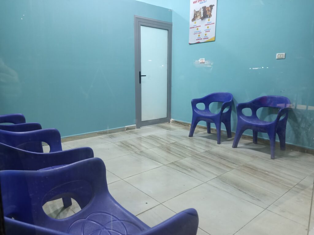 Petsy Care Veterinary Center _ Faisal Branch